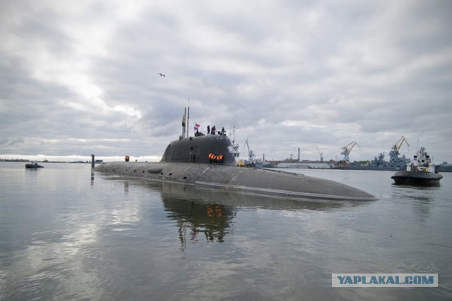 Рогозин: эсминец «Дональд Кук» могут съесть