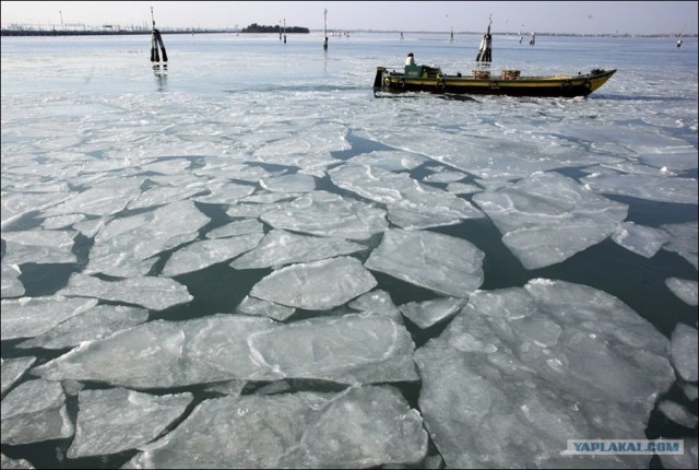 Скованная морозами