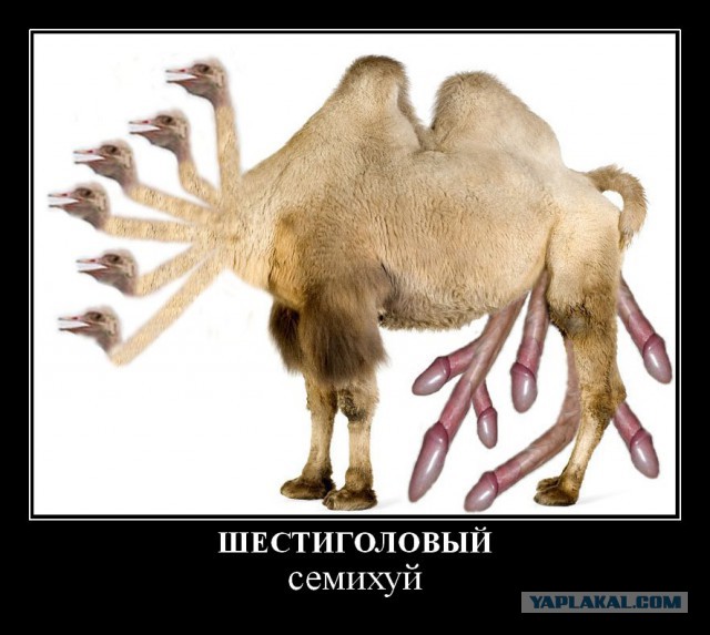 "Двойная" - это не "поперёк", но тоже впечатляет