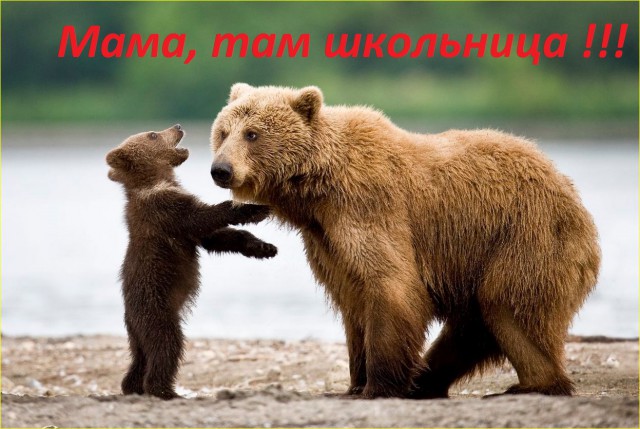 Современная школьница