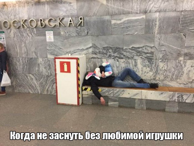 Картинки  из сети