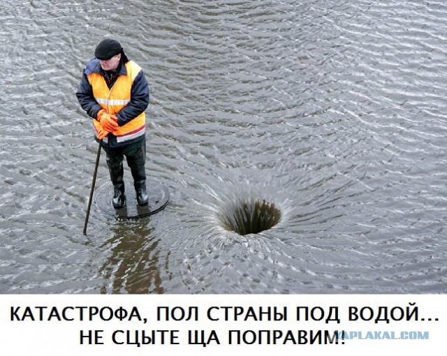 Смешные картинки