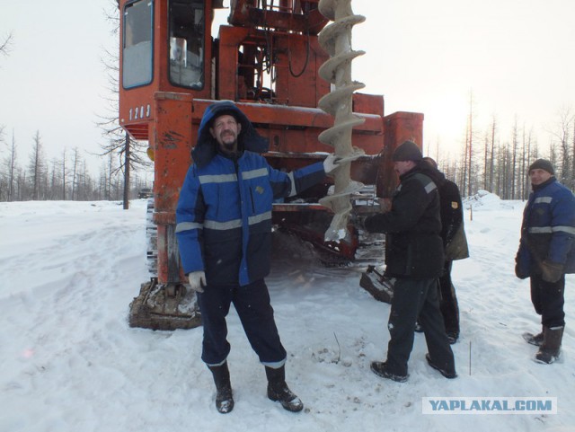 Трудовой народ в лицах