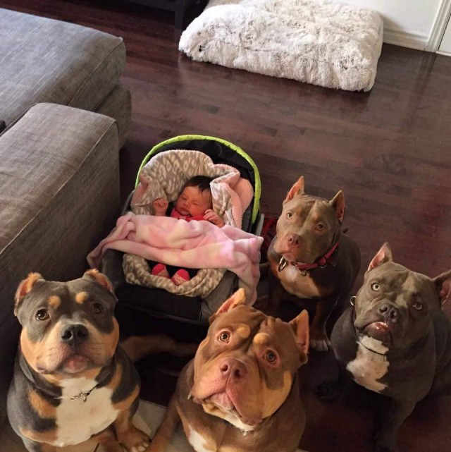 Подборка картинок