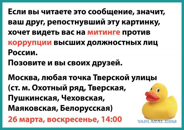 Мизулина припугнула штрафами за участие в митинге Навального