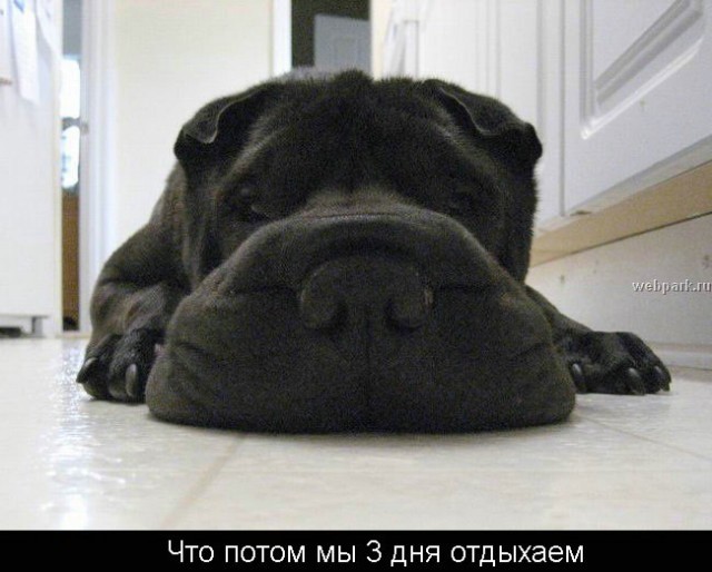 Суббота - рабский день!