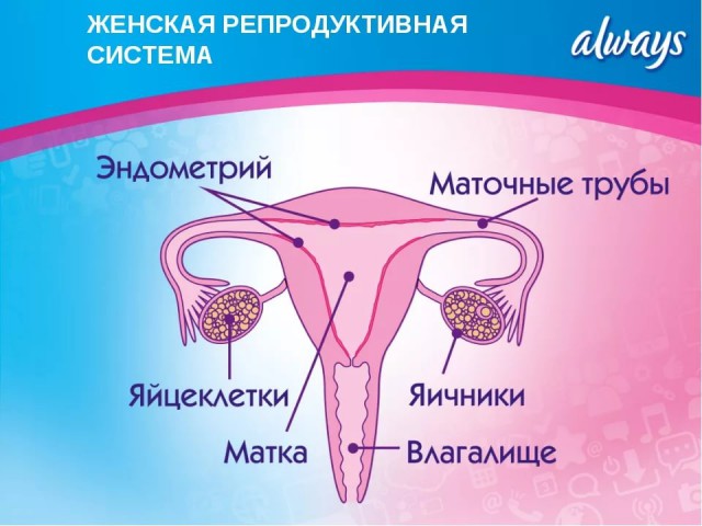 Серьезные травмы, которые можно получить во время секса