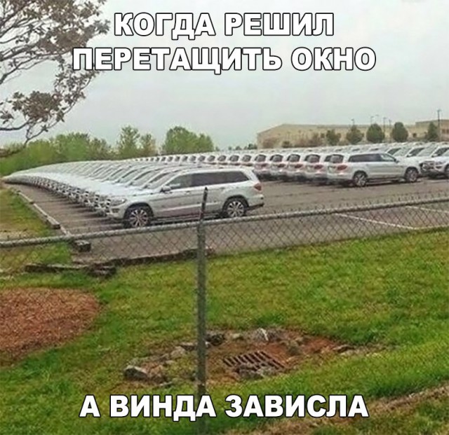 130 картинок для поднятия настроения!