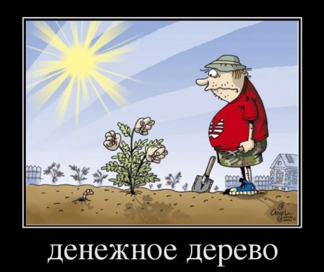 А вы знаете как растут эти продукты?