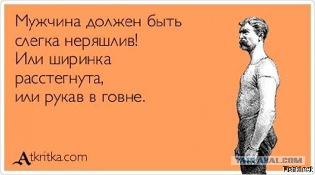 Вот так огламурилась питерская полиция