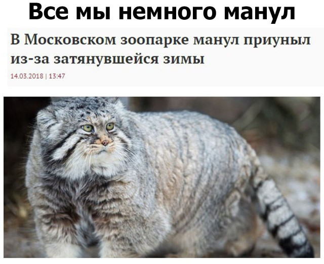 Прикольные картинки обо всём