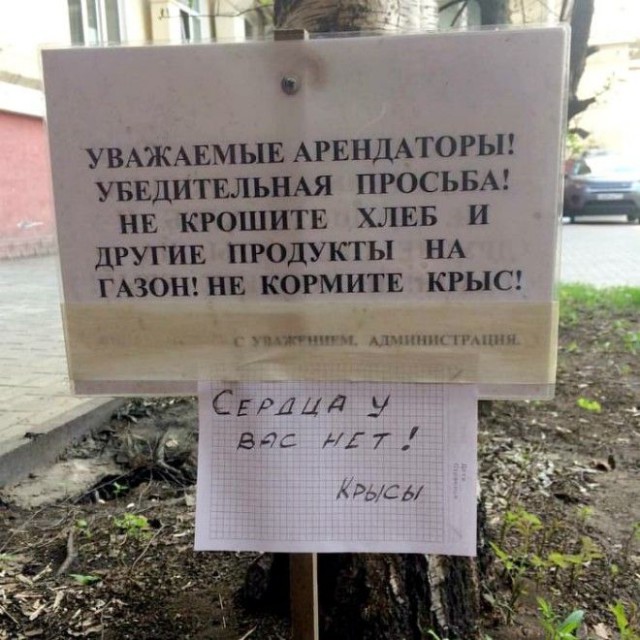 Примеры эксцентричной рекламы, которую не скоро забудешь