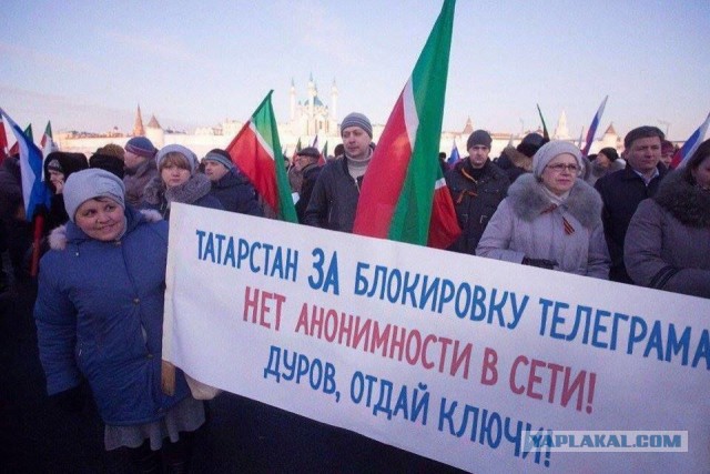 По опросу треть граждан выступила против выдачи властям доступа к переписке в мессенджерах
