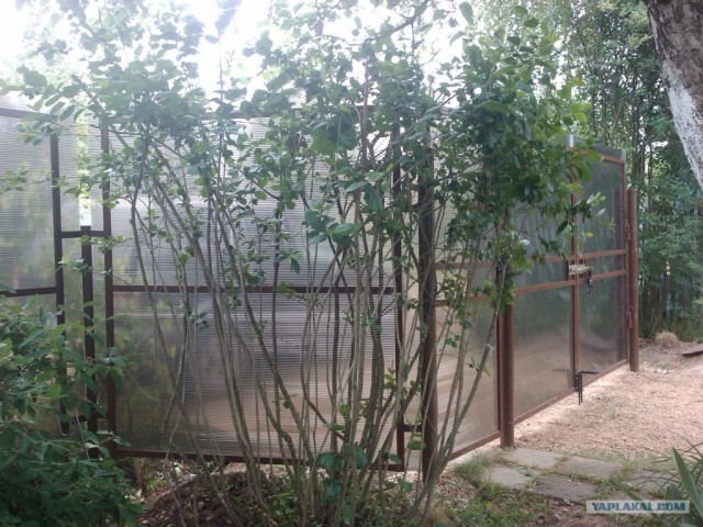 Как собираются навесы под машины