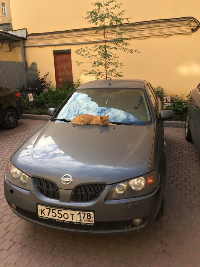 Картинки по-приколу