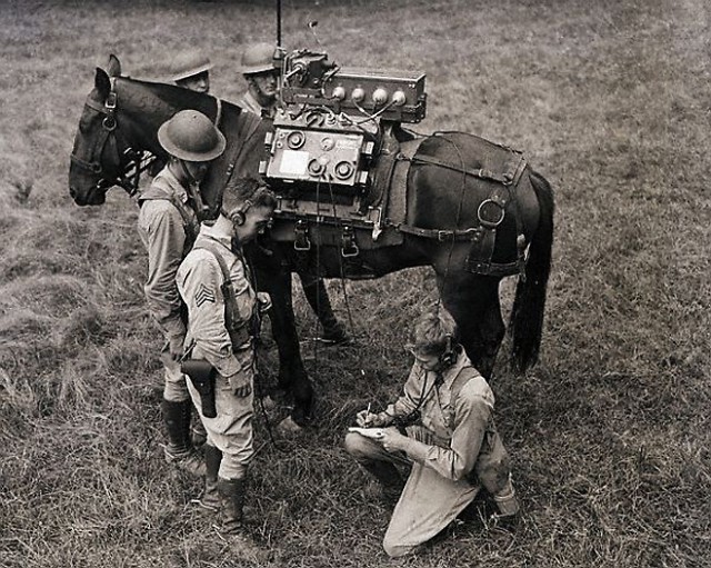 История в фотографиях