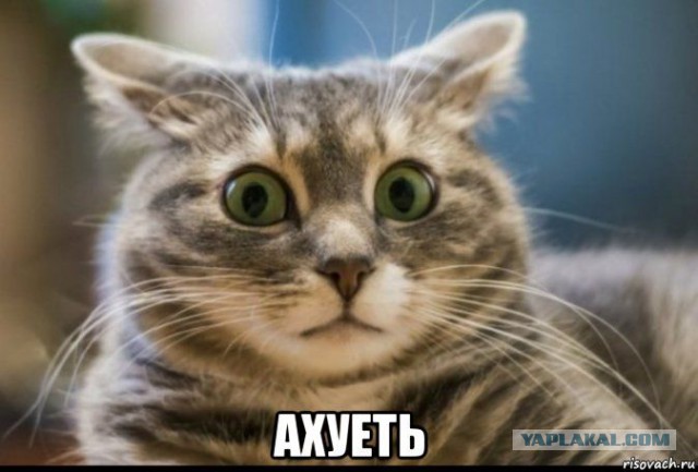 Вопрос к ЯПу. Оказывался ли кто из вас в чужом городе без средств?