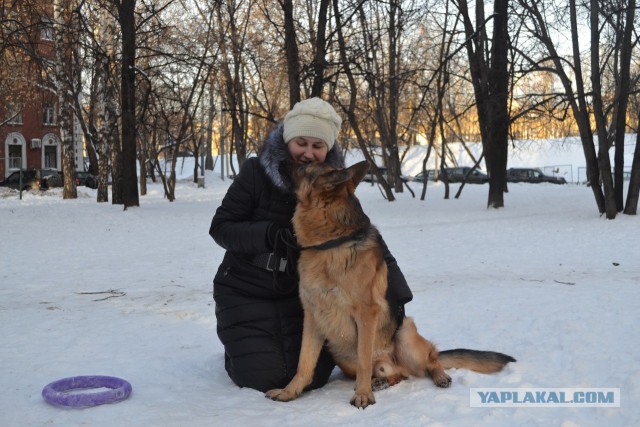 Мой собакочетверг