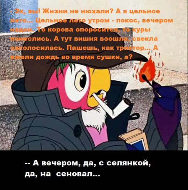 «Все, что я делаю, мне в кайф»: фермер Даша Яковлева о том, как поменяла бухгалтерию на деревню