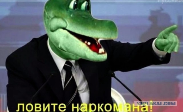 Кого звать, если...