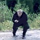Аватары на заказ