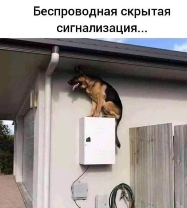 Картинки с надписями и анекдоты 19.07.19