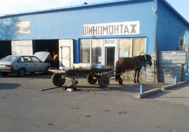 Бери шампур, губы не раскатывай и листай дальше!