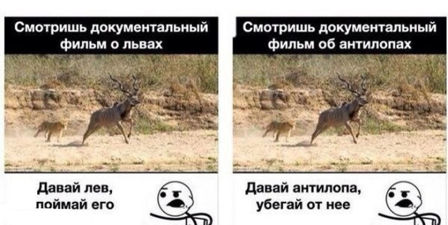 Бредзона