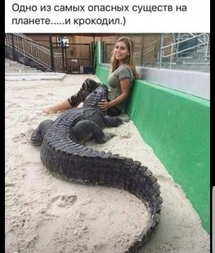 Поворот не туда