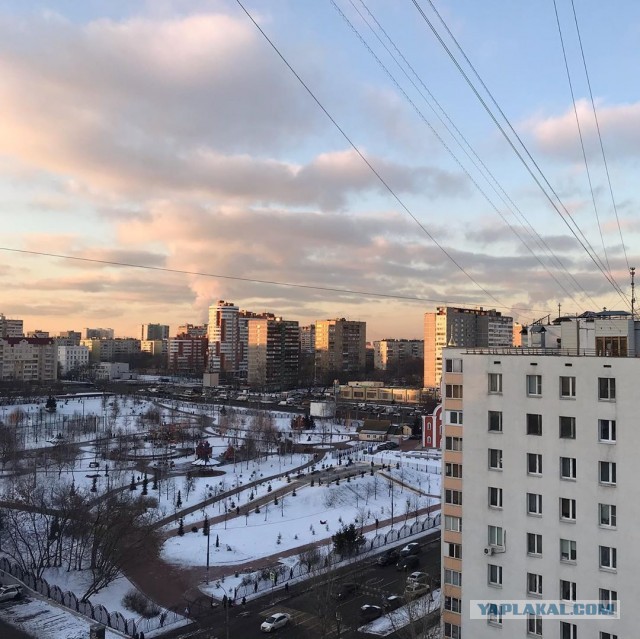 Просто Бирюлево утром