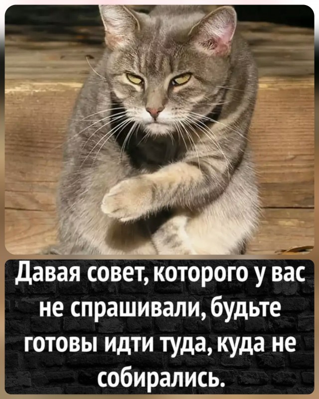 Друзья! Если эта, моя песня- принесет вам немного радости,значит не зря я все это затеял (Пашкетт)