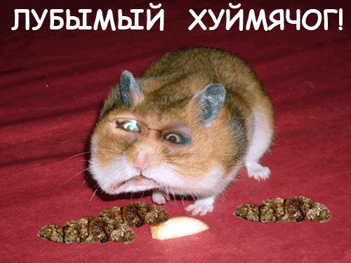 Отжабьте меня пожалуйста