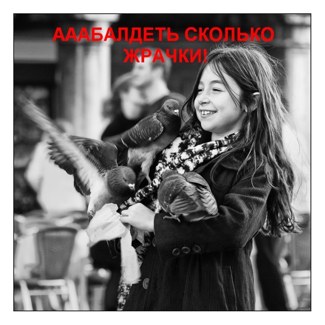Простое человеческое счастье в картинках