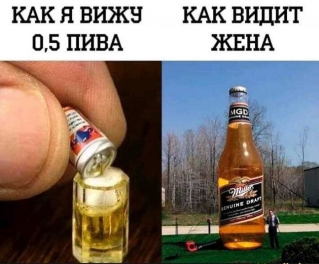 Сегодня международный день пива