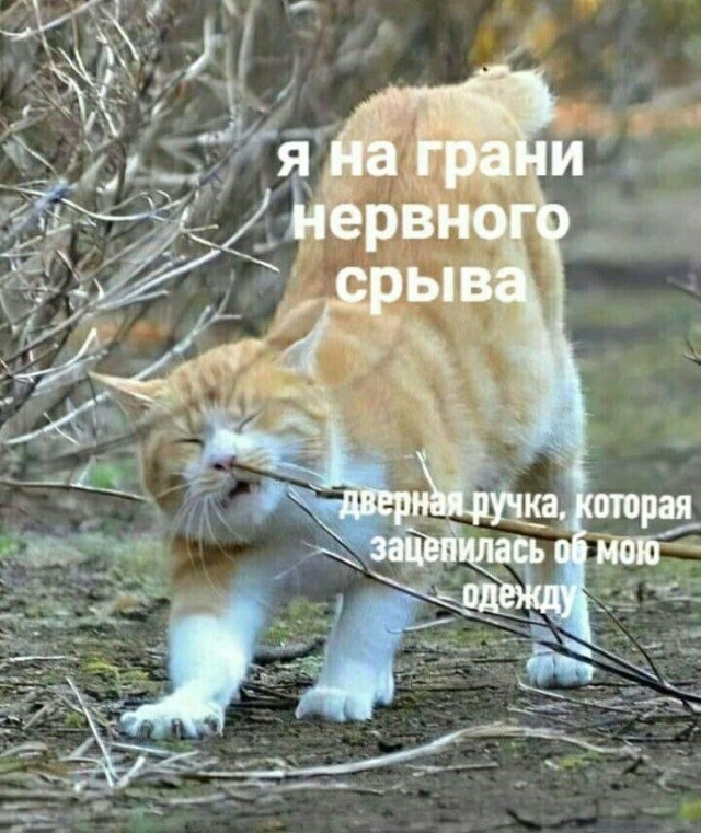 Картинки разные нужны, картинки всякие важны