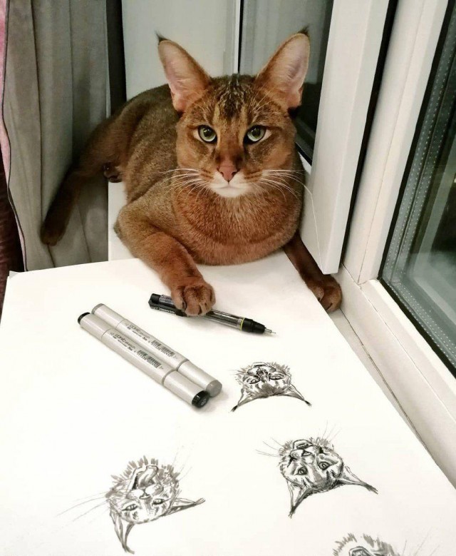 Эти забавные животные