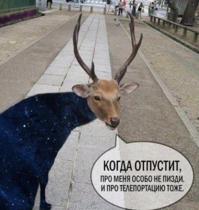 Женатый любовник хочет ребёнка