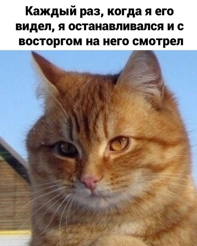 Деревенский vs городской