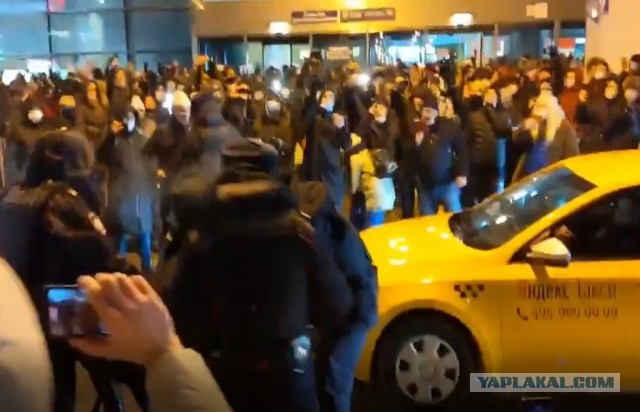 Навального арестовали на 30 суток
