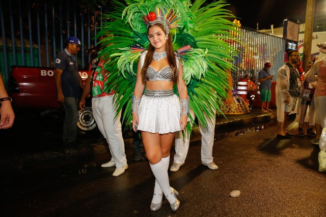 Карнавальных птичек пост