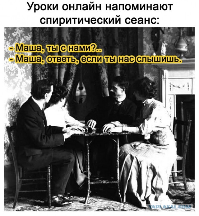 Свинегрет: картинки, надписи и прочее на 20.02.21 или №30