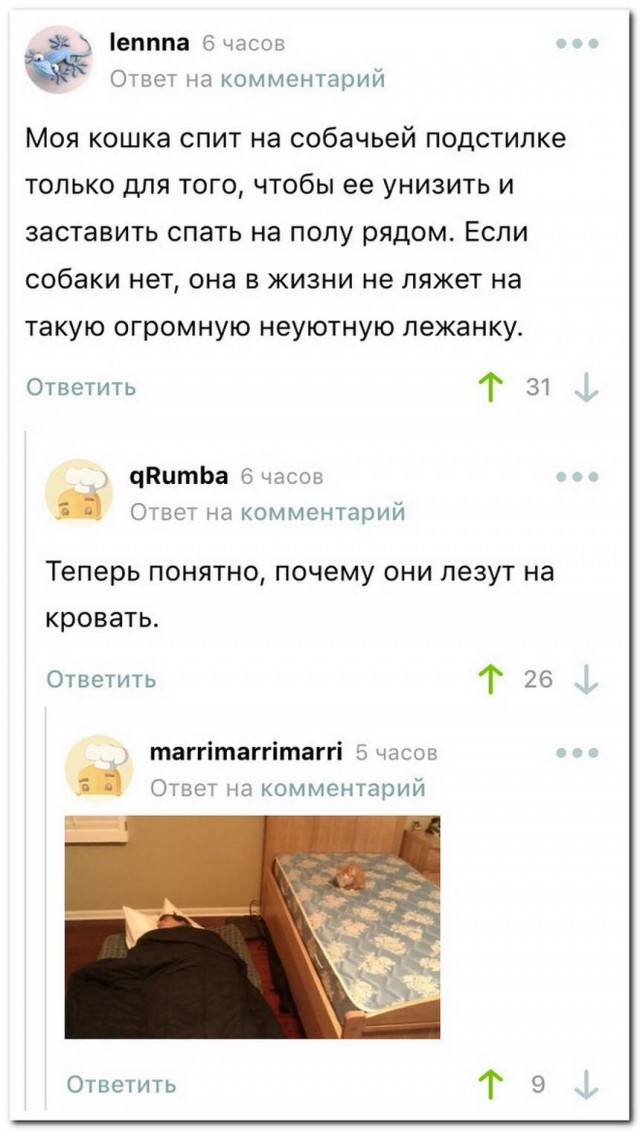 Всякие картинки