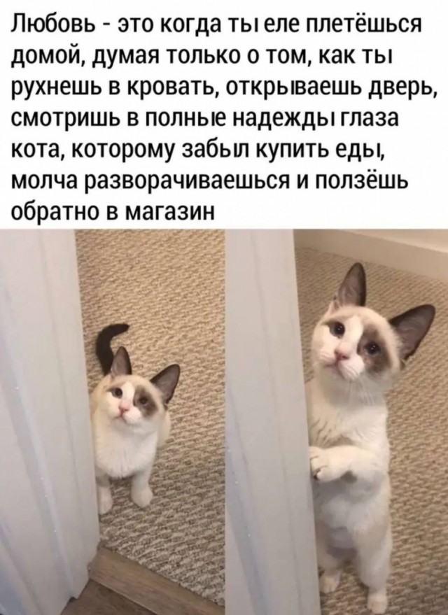 Так себе картинки 07.06.21
