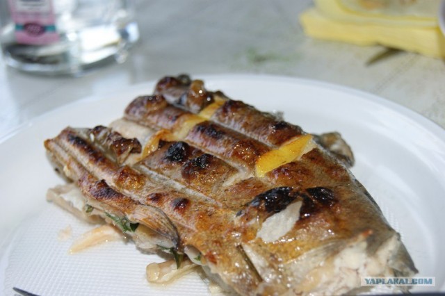 Все из рыбы!