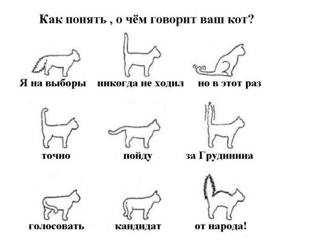 Грудинин идёт на выборы