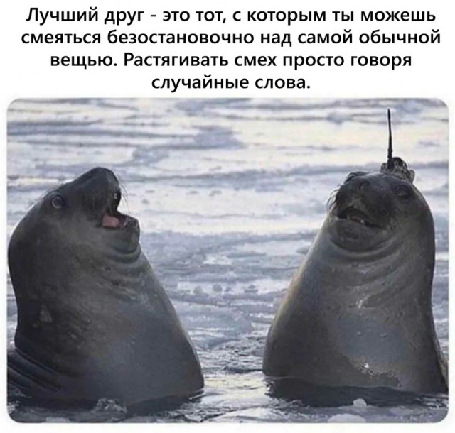 Картинки и мемы для настроения 26.08.2021