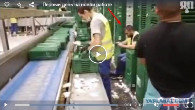 Первый день на новой работе