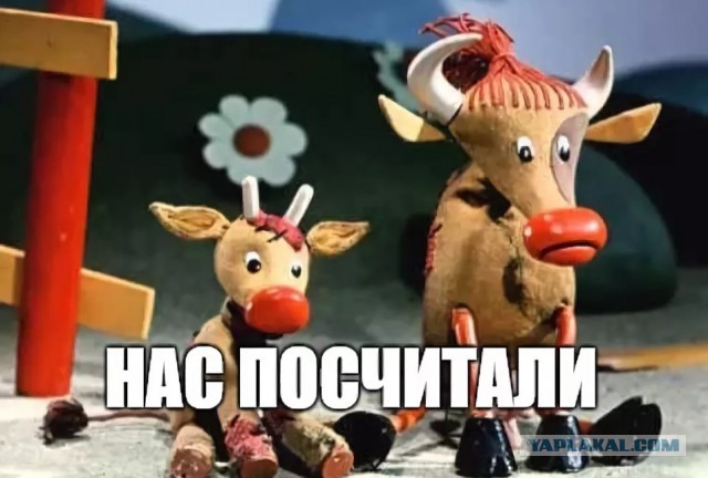 Нас всех хотят пересчитать. В России началась перепись населения