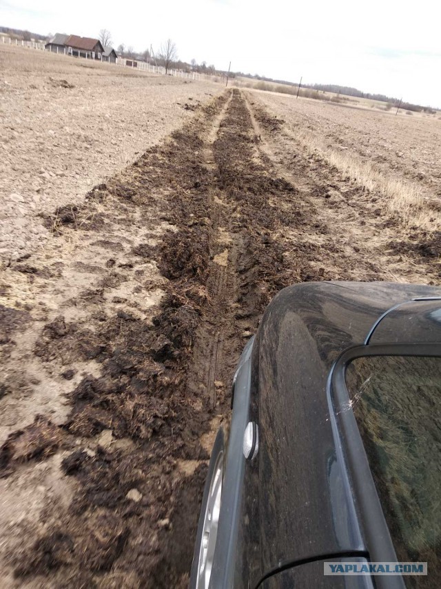 Жизнь домашнего приюта для котеек 390