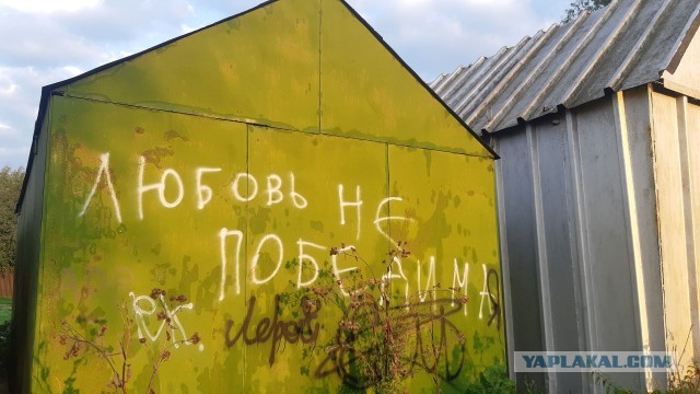 Картинки с надписями и всякие жизненные фразы